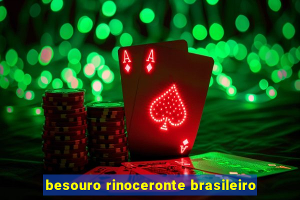 besouro rinoceronte brasileiro